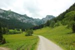 2014-07-05_Laengental-N-Hochweg (305). JPG